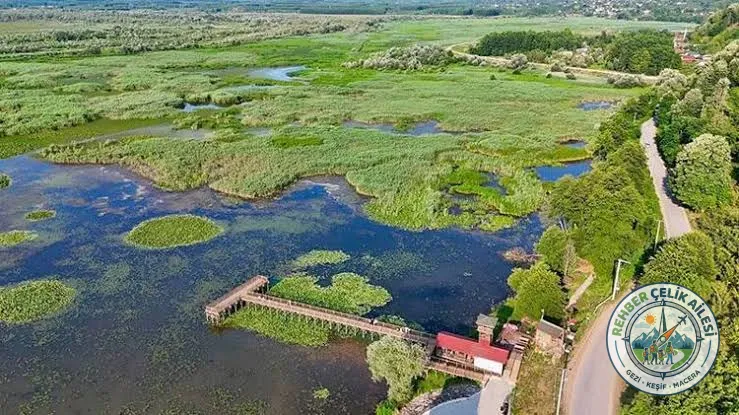 Efteni Gölü Kuş Cenneti: Düzce'nin Saklı Doğa Harikası